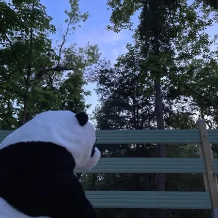 La Du Panda Dom wakacyjny